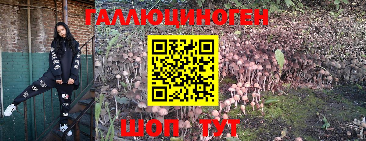 купить закладку  Галлюциногенные грибы Magic Shrooms  Вход с VPN  Добрянка 